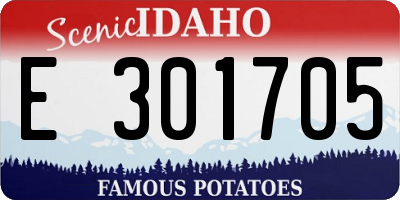 ID license plate E301705