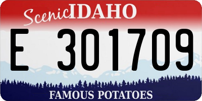 ID license plate E301709