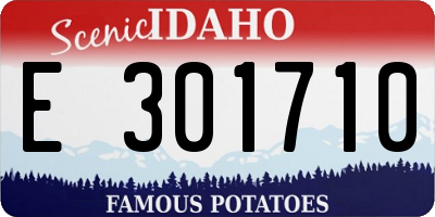 ID license plate E301710