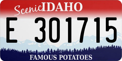 ID license plate E301715