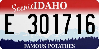 ID license plate E301716