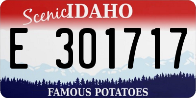 ID license plate E301717