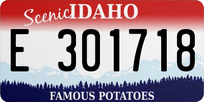 ID license plate E301718