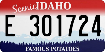 ID license plate E301724