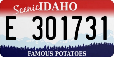 ID license plate E301731