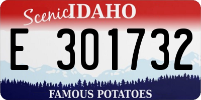 ID license plate E301732