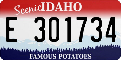 ID license plate E301734