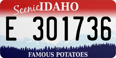 ID license plate E301736