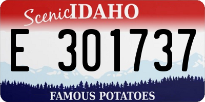 ID license plate E301737