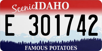 ID license plate E301742