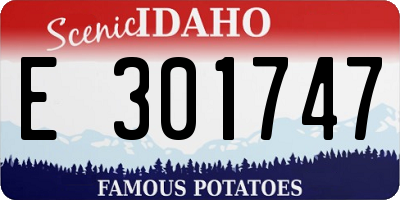 ID license plate E301747