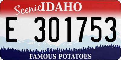 ID license plate E301753