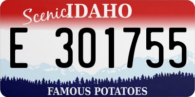 ID license plate E301755