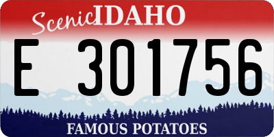 ID license plate E301756