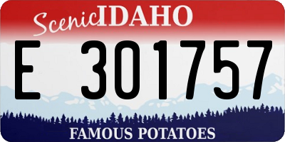 ID license plate E301757