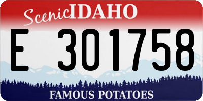 ID license plate E301758