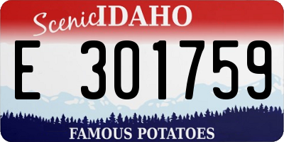 ID license plate E301759