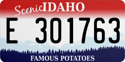 ID license plate E301763