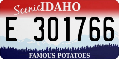 ID license plate E301766