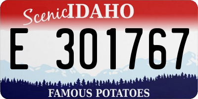 ID license plate E301767