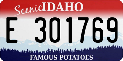 ID license plate E301769