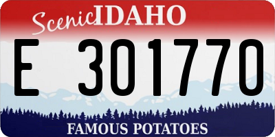 ID license plate E301770