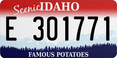 ID license plate E301771