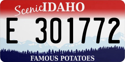 ID license plate E301772
