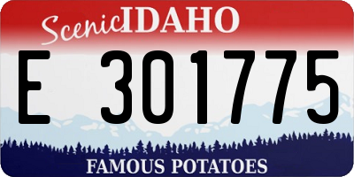 ID license plate E301775