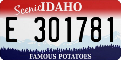 ID license plate E301781