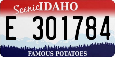ID license plate E301784