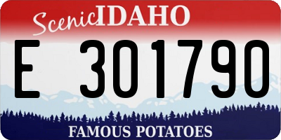 ID license plate E301790