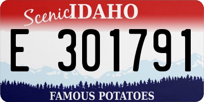 ID license plate E301791