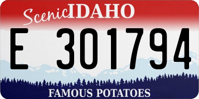 ID license plate E301794