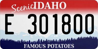 ID license plate E301800