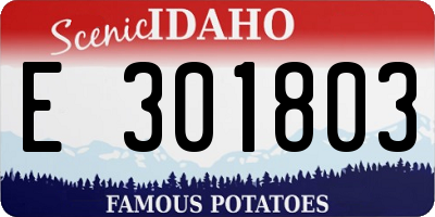 ID license plate E301803