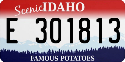 ID license plate E301813