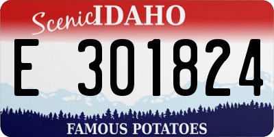 ID license plate E301824