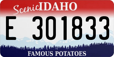 ID license plate E301833