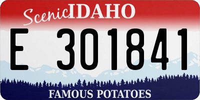 ID license plate E301841