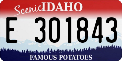 ID license plate E301843