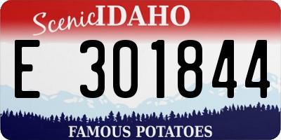 ID license plate E301844