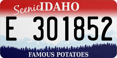 ID license plate E301852