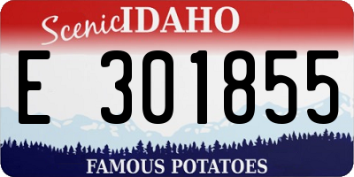 ID license plate E301855