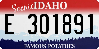 ID license plate E301891