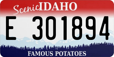 ID license plate E301894