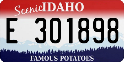 ID license plate E301898