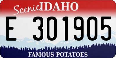 ID license plate E301905