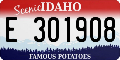 ID license plate E301908