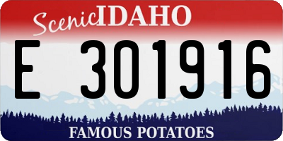 ID license plate E301916